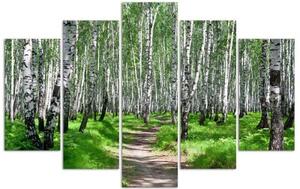 Obraz na plátně pětidílný Příroda březového lesa - 100x70 cm