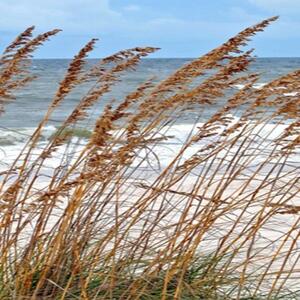 Ozdobný paraván Duny na mořské pláži - 180x170 cm, päťdielny, klasický paraván