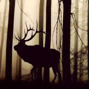 Ozdobný paraván Jelen v lese Fog Brown - 110x170 cm, trojdielny, klasický paraván