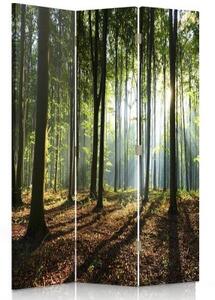 Ozdobný paraván Lesní zelená příroda - 110x170 cm, trojdielny, klasický paraván