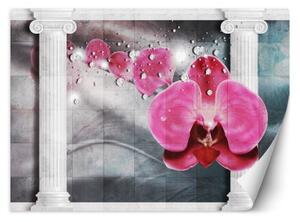 Fototapeta, Květiny Orchidej 3D sloupy - 200x140 cm
