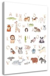 Obraz na plátně Barevná abeceda zvířat - 40x60 cm