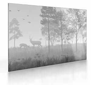 Sklenený obraz - Lúka s jeleňami (70x50 cm)