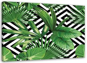 Obraz na plátně Geometrické listy palmy zelené - 60x40 cm