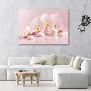 Obraz na plátně Orchidejové květinové zenové lázně - 60x40 cm