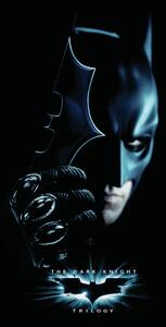 Umelecká tlač The Dark Knight Trilogy - Batman, (26.7 x 40 cm)