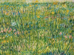 Obrazová reprodukcia A Patch of Grass - Vincent van Gogh, (40 x 30 cm)