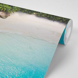 Samolepiaca fototapeta pobrežie Seychely