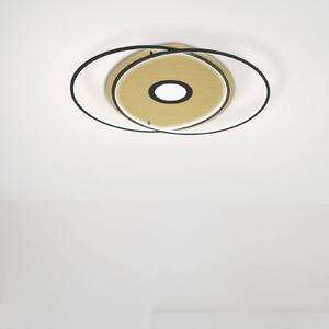 Paul Neuhaus Q-AMIRA stropné LED ovál, čierne