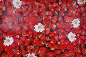 PVC obrus JAHODA 120x140 cm