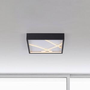 JUST LIGHT. stropné LED svetlo Mikado, 30 x cm, čierne, Čierna, Obývacia izba / jedáleň, kov, Moderný, Stropné svetlo