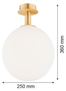 Argon 8505 - Stropné svietidlo PALOMA 1xE27/15W/230V zlatá/biela