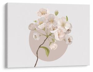 Obraz - Bloom with grace N⁰2 (70x50 cm)