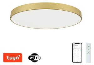 Brilagi - LED stmievateľné svietidlo POOL SMART LED/128W/230V 100 cm zlaté Wi-Fi Tuya+DO