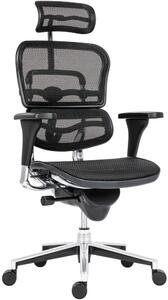 Kancelárska ergonomická stolička ERGOHUMAN — sieť, čierna, nosnosť 150 kg