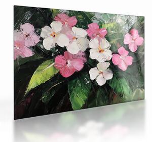 Sklenený obraz - Ružové a biele kvety (70x50 cm)