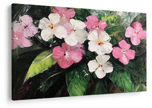 Obraz - Ružové a biele kvety (90x60 cm)