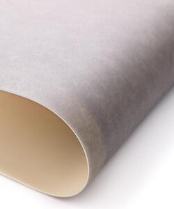 PVC podlaha Lentex Ranger 60407 Regina S93