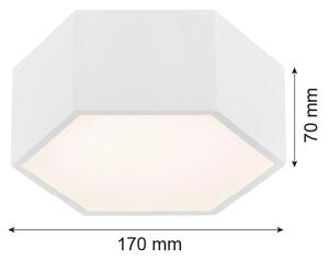 Argon 3828 - LED Stropné svietidlo ARIZONA LED/9W/230V biela