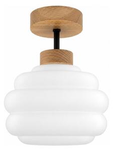 BRILAGI - LED Prisadený luster RETRO GLASS 1xE27/60W/230V pr. 20 cm dub/biela