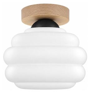 BRILAGI - LED Stropné svietidlo RETRO GLASS 1xE27/60W/230V pr. 20 cm dub/biela
