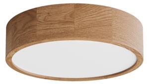 Kúpeľňové stropné svietidlo CLEO 3xE27/24W/230V IP54 pr. 37,5 cm dub