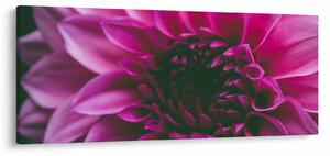 Obraz ružového kvetu (120x50 cm)