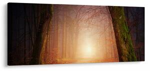 Obraz jesenného lesa v hmle (120x50 cm)