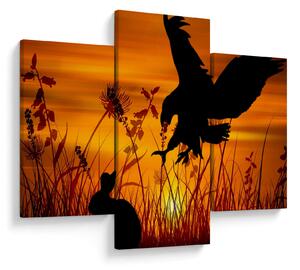 Obraz siluety dravca (90x60 cm)