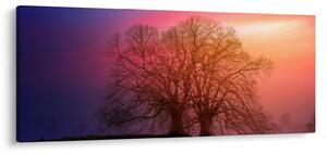 Obraz stromov v hmle (120x50 cm)