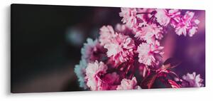 Obraz kvetov stromov (120x50 cm)