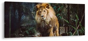 Obraz leva v prírode (120x50 cm)