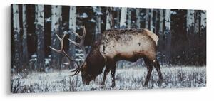 Obraz - jeleň v zime (120x50 cm)
