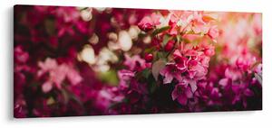Obraz kvetov rozkvitnutého kríku (120x50 cm)
