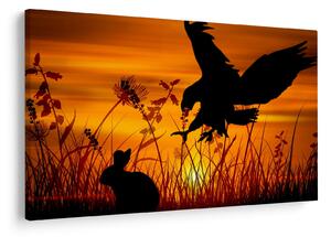 Obraz siluety dravca (90x60 cm)