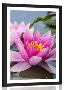 Plagát s paspartou ružový lotosový kvet - 20x30 silver