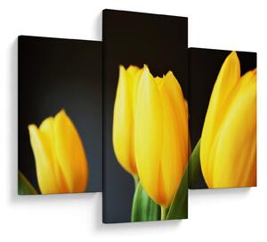Obraz tulipánov (90x60 cm)