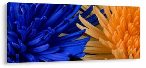 Detailný obraz kvetov (120x50 cm)