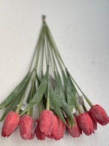 Tulipán umelý červený jemne bielený 43cm cena za 1ks