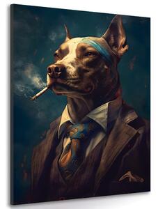 Obraz zvierací gangster pes