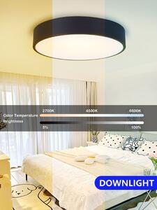 Immax NEO "RONDATE" 07025L Smart LED stropné svietidlo 60cm 50W + diaľkový ovládač