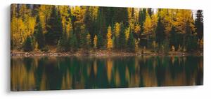 Obraz lesného jazera (120x50 cm)