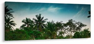 Obraz - palmy (120x50 cm)