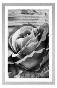 Plagát s paspartou elegantná vintage ruža v čiernobielom prevedení