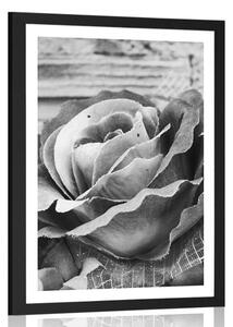 Plagát s paspartou elegantná vintage ruža v čiernobielom prevedení