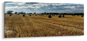 Obraz zozbieraného obilného poľa (120x50 cm)