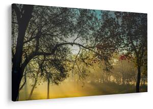 Obraz východu slnka (90x60 cm)