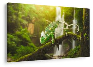 Obraz chameleóna (90x60 cm)