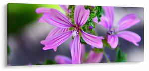 Detailný obraz kvetiny (120x50 cm)