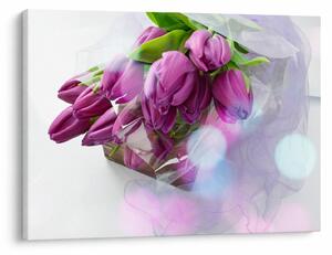 Obraz - kytice tulipánov (70x50 cm)
